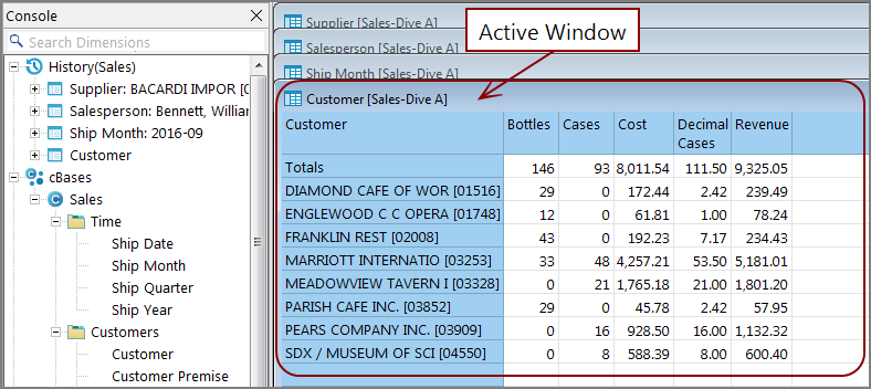 Example of ProDiver showing the active dive window.